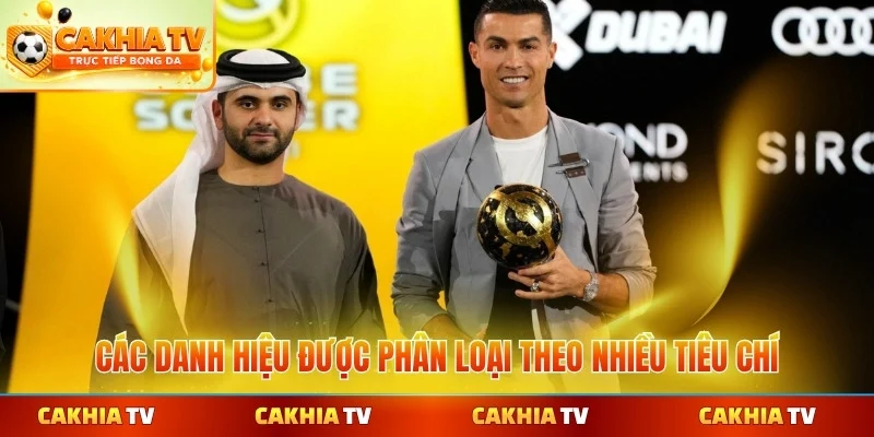 Các danh hiệu được phân loại theo nhiều tiêu chí