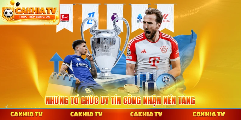 Những tổ chức uy tín công nhận nền tảng trực tuyến tiềm năng