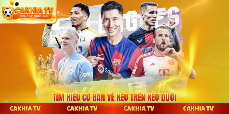 Tìm hiểu cơ bản về kèo trên kèo dưới